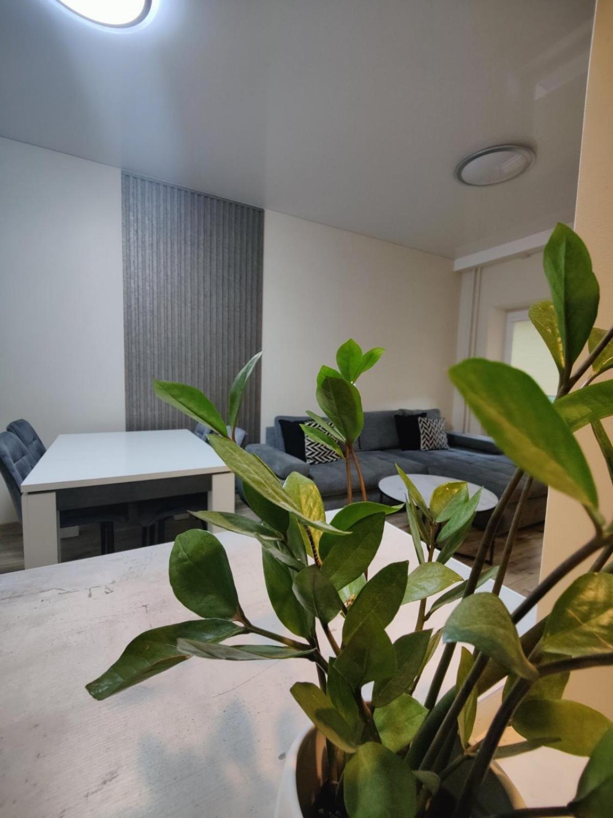 V15 Apartment Druskininkai Exterior photo